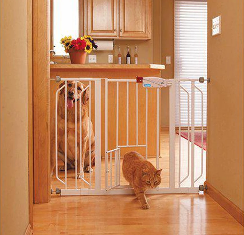 katten går lätt genom sin lucka, hunden kommer inte förbi